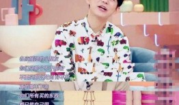 何炅爆料了啥意思啊视频,视频内容大起底