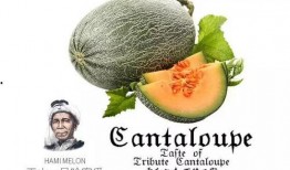 吃瓜的娱乐号,吃瓜群众视角下的明星幕后故事